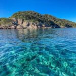 Port Stephens: Dolphin Watch Eco Adventure - Who Is This Tour Best For?