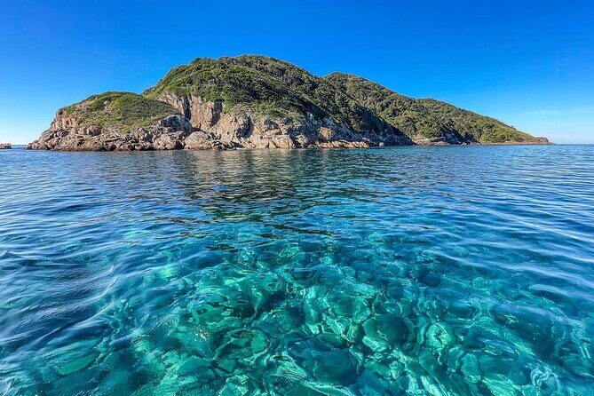 Port Stephens: Dolphin Watch Eco Adventure - Who Is This Tour Best For?