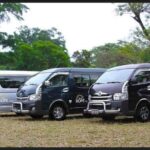 Port Vila Full Day Tour - Experience the Real Vanuatu - Who Should Consider This Tour