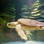 Portland Acadia National Park 3-Day Tour from Boston MA - What Works Well and What to Consider