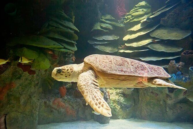 Portland Acadia National Park 3-Day Tour from Boston MA - What Works Well and What to Consider