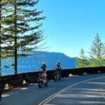 Portland: Multnomah Falls E-Bike Tour in the Columbia Gorge - An Overview of the Experience