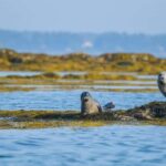 Portland: Schooner Tall Ship Cruise on Casco Bay - Final Thoughts