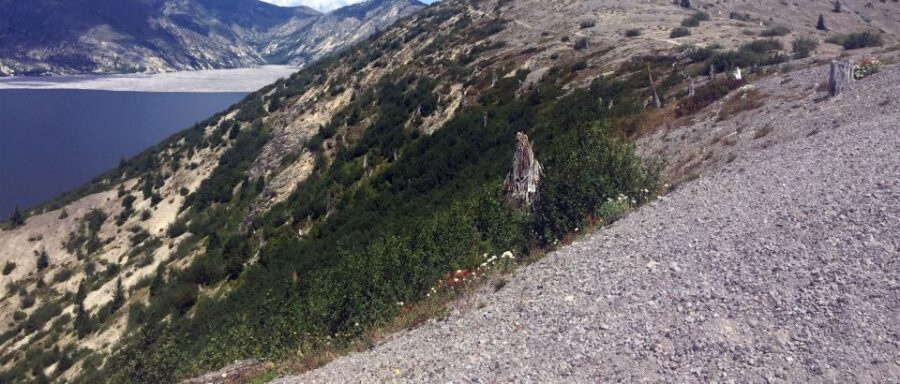 Portland: The Mt. St. Helens Adventure Tour - Who Should Consider This Tour?