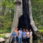 Post Cruise Long day in Vancouver with your luggage - A Detailed Look at the Itinerary: What You’ll See and Do