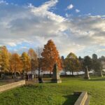 Post Cruise Vancouver Private Car Tour - The Details That Matter