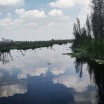 Pre-Hispanic Xochimilco and ajolotario. Private Ecotour. - Who Is This Tour For?