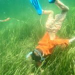 Premier Scalloping Adventure on Florida's Nature Coast - What Does This Tour Offer?