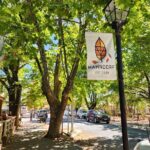 Premium Adelaide Hills Cleland Wildlife and Hahndorf Minibus Tour - A Detailed Look at the Adelaide Hills Tour