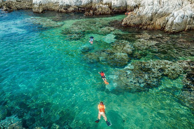 Premium Family Snorkeling Experience - Who Is This Tour Best For?