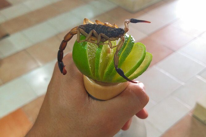 Premium Mezcal Tasting and Class - The Value for Your Money