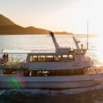 Premium Milford Sound Tour, Cruise & Lunch from Te Anau - The Value of the Tour