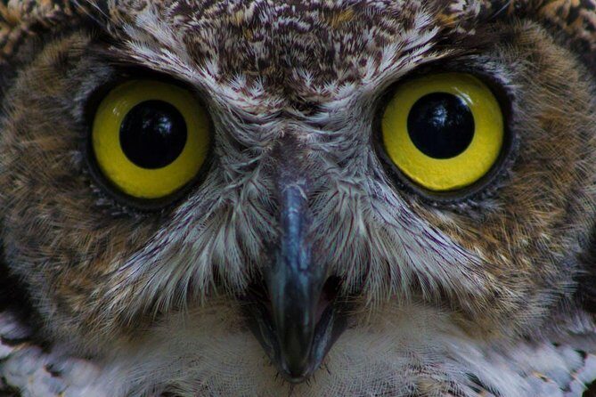 PREMIUM Sitka Scenic Tour - Fortress of the Bear: The Most Popular Stop