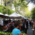 Presidents Trump and Obama's Life Private Tour Expert Guide - Analysis of Value and Cost