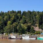 Prime Tour Saint John - Who Is This Tour Best For?