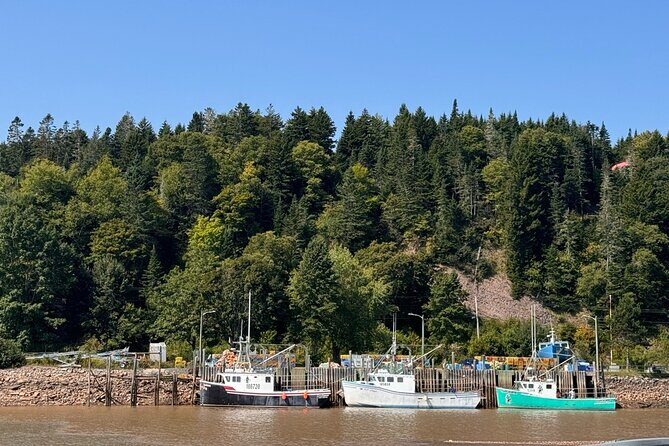 Prime Tour Saint John - Who Is This Tour Best For?