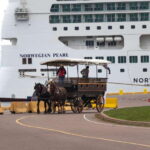 Prince Edward Island: Horse-Drawn Carriage Tour - Who Will Love This Tour?