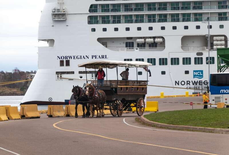Prince Edward Island: Horse-Drawn Carriage Tour - Who Will Love This Tour?