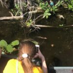 Private 1.5-Hour Airboat Tour of Miami Everglades - Who Is This Tour Best For?