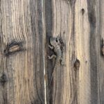 Private 1 Day Tour to Joshua Tree National Park - The Logistics and Value