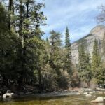 Private 2 Days Tour to Yosemite National Park - Day 1: Taking in the Classic Yosemite Views