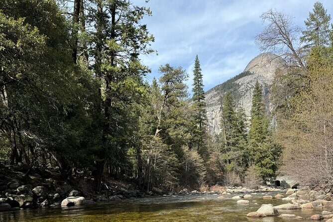Private 2 Days Tour to Yosemite National Park - Day 1: Taking in the Classic Yosemite Views