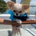 Private 2-Hour Day Sailing Experience - Why This Tour Stands Out in Orlando