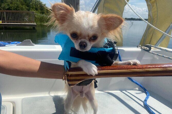 Private 2-Hour Day Sailing Experience - Why This Tour Stands Out in Orlando