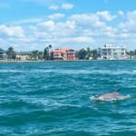Private 2-Hour Dolphin Watching Cruise in St. Petersburg, FL - Who Would Love This Tour?