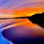 Private 2 Hour Sunset Cruise Marco Island, FL - Wildlife and Nature: What You Might See