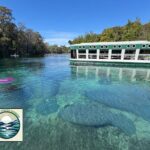 Private 2Hour Clear Kayak/ROC Paddle Board Rental on Silver River - Price and Value