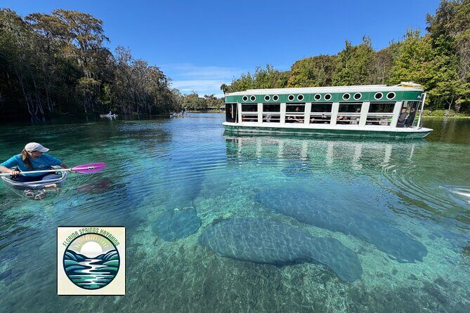 Private 2Hour Clear Kayak/ROC Paddle Board Rental on Silver River - Price and Value