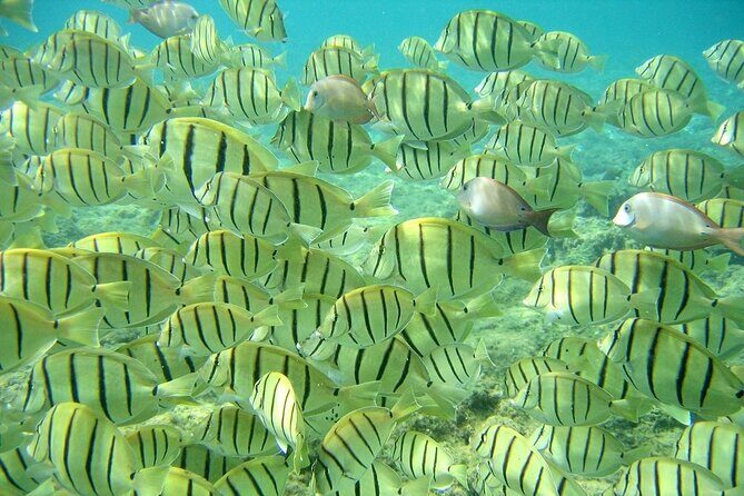 Private 3 Hour Snorkeling Tour with Arch Tour and Beach Time - Final Thoughts