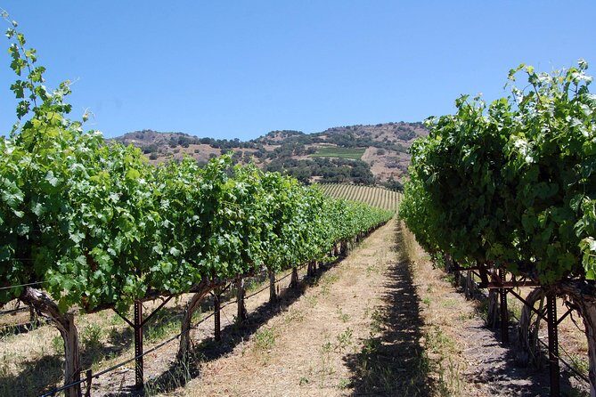 Private 6 Hour Napa Valley Wine Tour - Who Is This Tour Best For?
