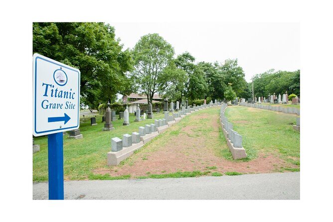 Private 8-Hour Halifax and South Shore Guided Tour - Real-Life Insights and What Makes This Tour Stand Out