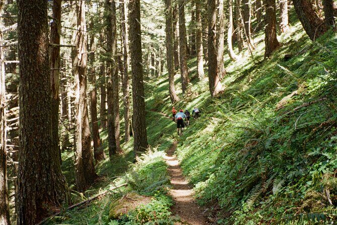 Private Adventure Mountain Biking in Seattle's Eastside - The Trail Experience and What Sets It Apart
