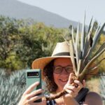 Private Adventure to El Tequileño Distillery and visit to Tequila - The Itinerary Breakdown and What You Can Expect