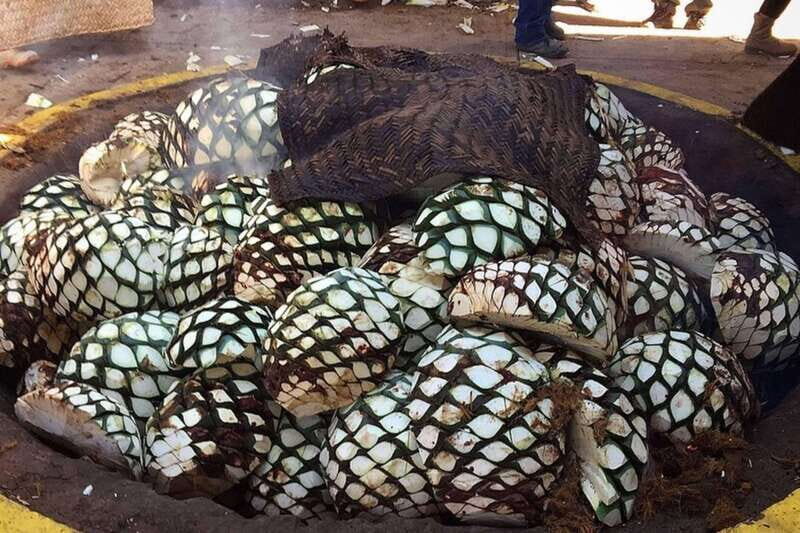 Private Adventure to Tequila and el Cascahuin Distillery - A Closer Look at the Tour Itinerary