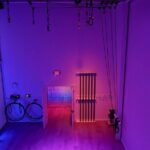 Private Aerial Party For Up To 15 People at soFly Social ATX - Who Is This Best For?