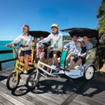 Private Airlie Beach Tuk-Tuk Tours - What You Can Expect From Your Experience