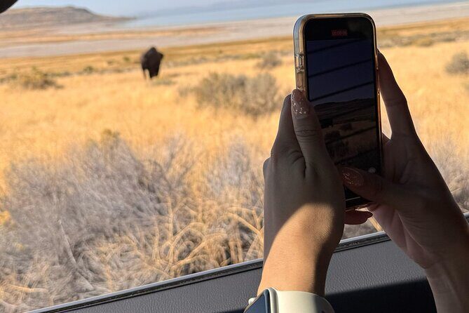 Private Antelope Island & Great Salt Lake Tour - Is It Worth the Price?