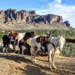 Private Apache Trail Tour with Canyon Lake Cruise - Who is This Tour Best For?