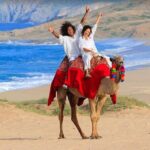 Private ATV and Camel Ride on a White Sand Beach - The Details of the Experience