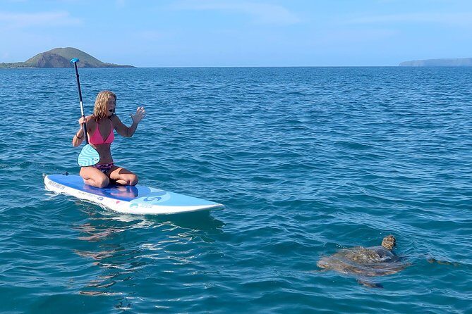 Private Beginner Paddleboard 101 Lesson: Polo Beach, Turtle Town - Why This Tour Offers Good Value