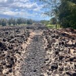 Private Big Island: History & Local Shopping Tour - Who Should Consider This Tour?