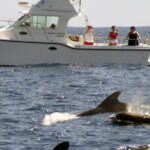 Private Biologist-Led Sea'fari (up to 10 passengers) - Final Thoughts