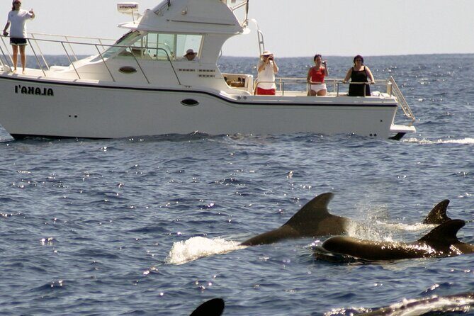 Private Biologist-Led Sea'fari (up to 10 passengers) - Final Thoughts