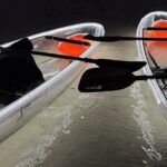 Private Bioluminescence Tour by clear Kayak in Holbox - The Real Deal: Is It Worth It?