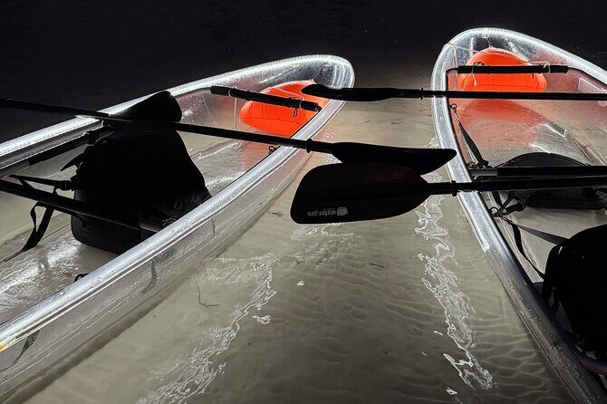 Private Bioluminescence Tour by clear Kayak in Holbox - The Real Deal: Is It Worth It?