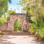 Private Birdwatching Tour with a Guide in Cozumel - Who Is This Tour Best For?